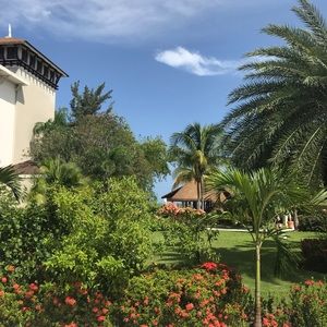 Meet your Posher, Eva